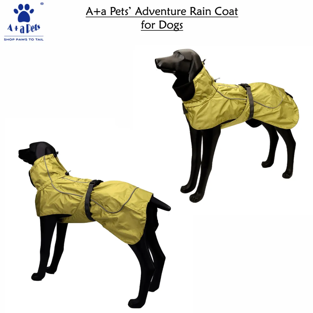 A Plus A Pets Adventure Raincoat for Dogs (Khaki)