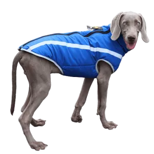 A Plus A Pets Luxurious Rain & Wind Protector Jacket for Dogs (Blue)