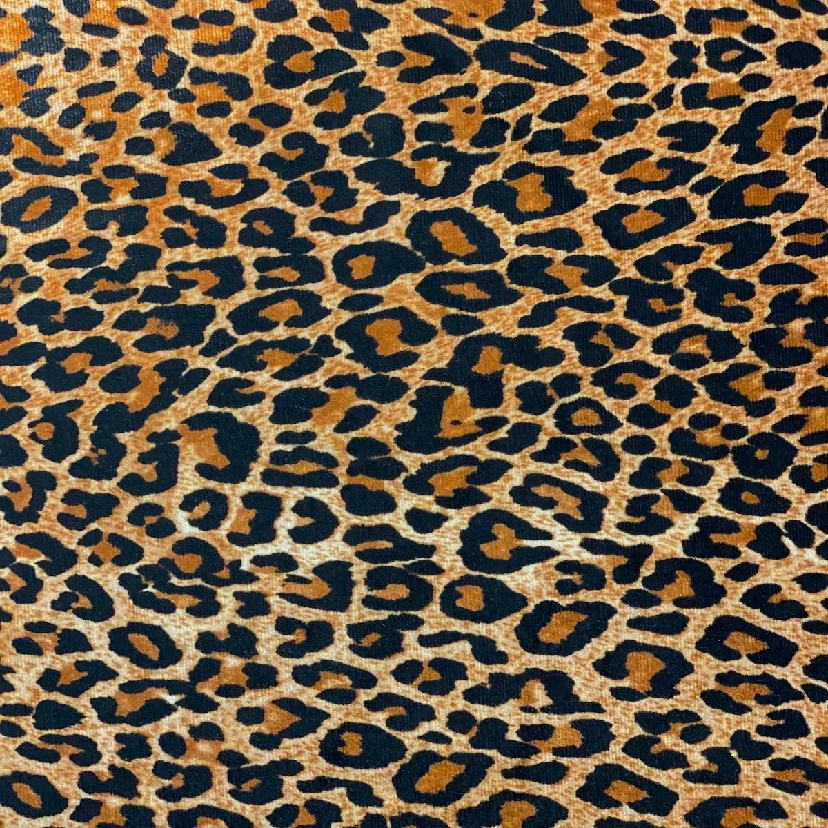 Baby Leopard Print Stretch Velvet Fabric