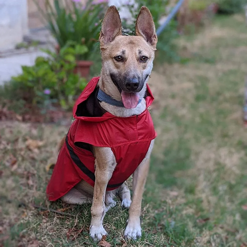 Mutt of Course Raincoat For Dogs (Red)