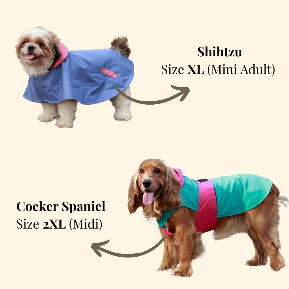 Pet Set Go Splash Waterproof Raincoat for Dogs (Neon Blue)