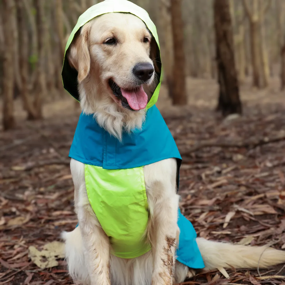 Pet Set Go Splash Waterproof Raincoat for Dogs (Neon Blue)